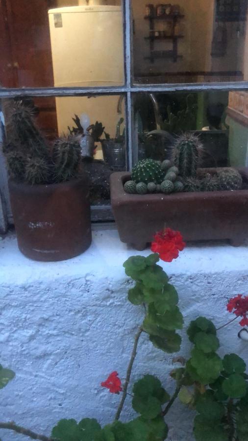 Home Stay Maria Hidalgo del Parral Eksteriør billede